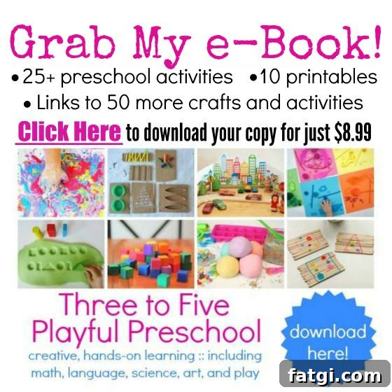 Three to Five Playful Preschool e-book