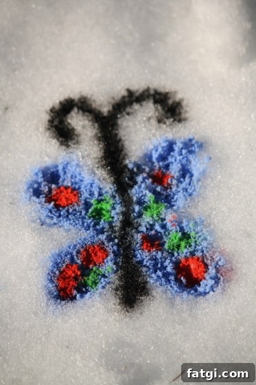 butterfly painted in the snow