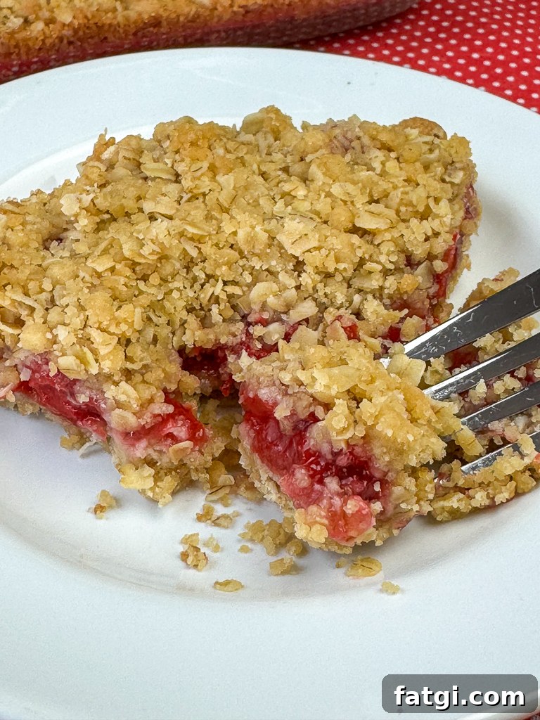 Close up fork in a fruity and earthy oatmeal cherry fill fruit bar.
