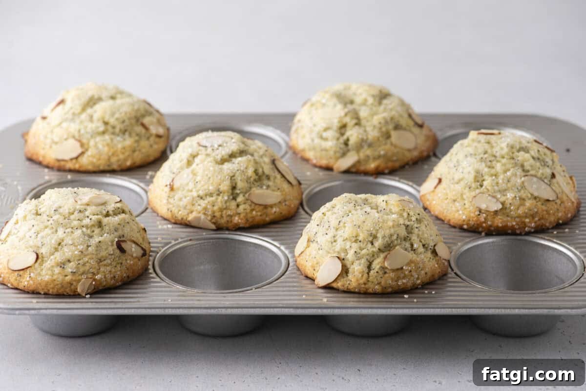 Almond Poppy Seed Muffins Recipe 12 A muffin tin with six baked almond muffins, each topped with sliced almonds and sugar.