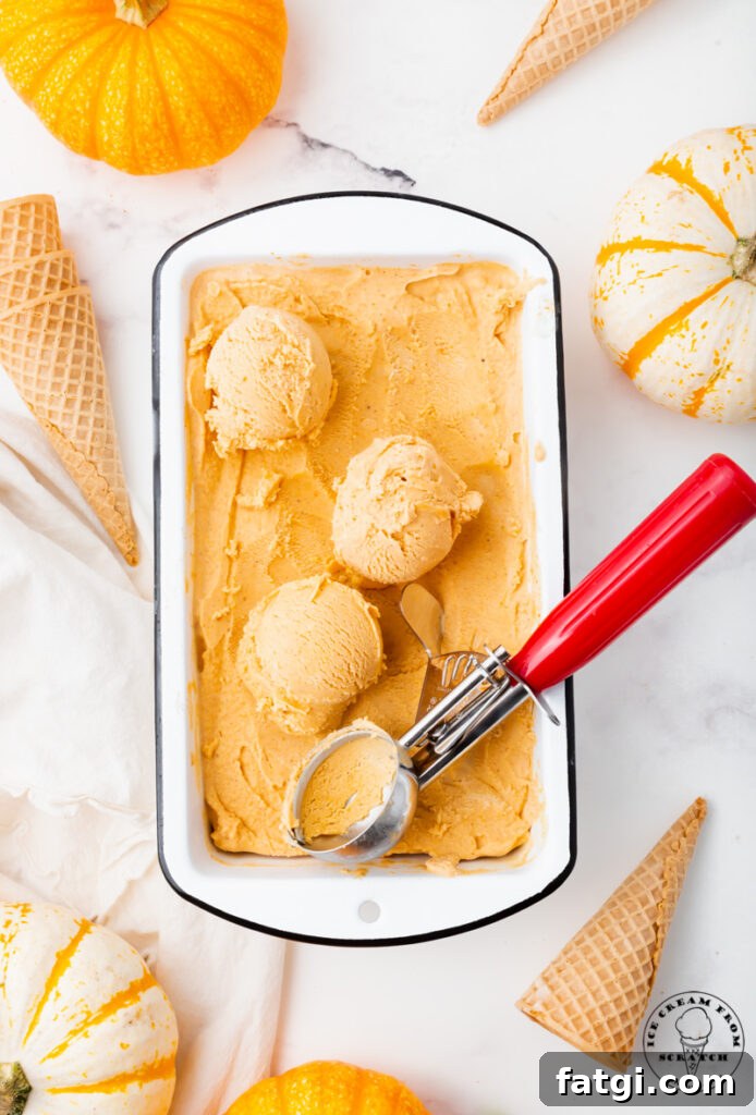 a white loaf pan filled with pumpkin spice ice cream, three scoops have been made with a red an silver ice cream scoop. Surrounding the pan are small white and orange pumpkins, and sugar cones.