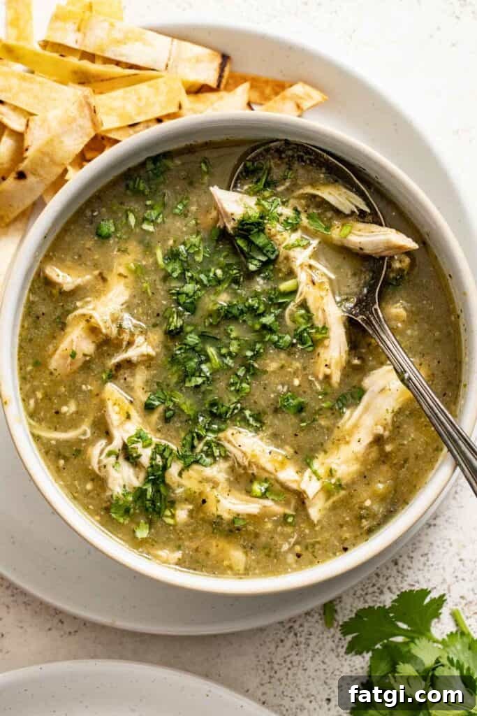 A bowl of a green chicken enchilada soup topped with cilantro, with a spoon dipping into it. 