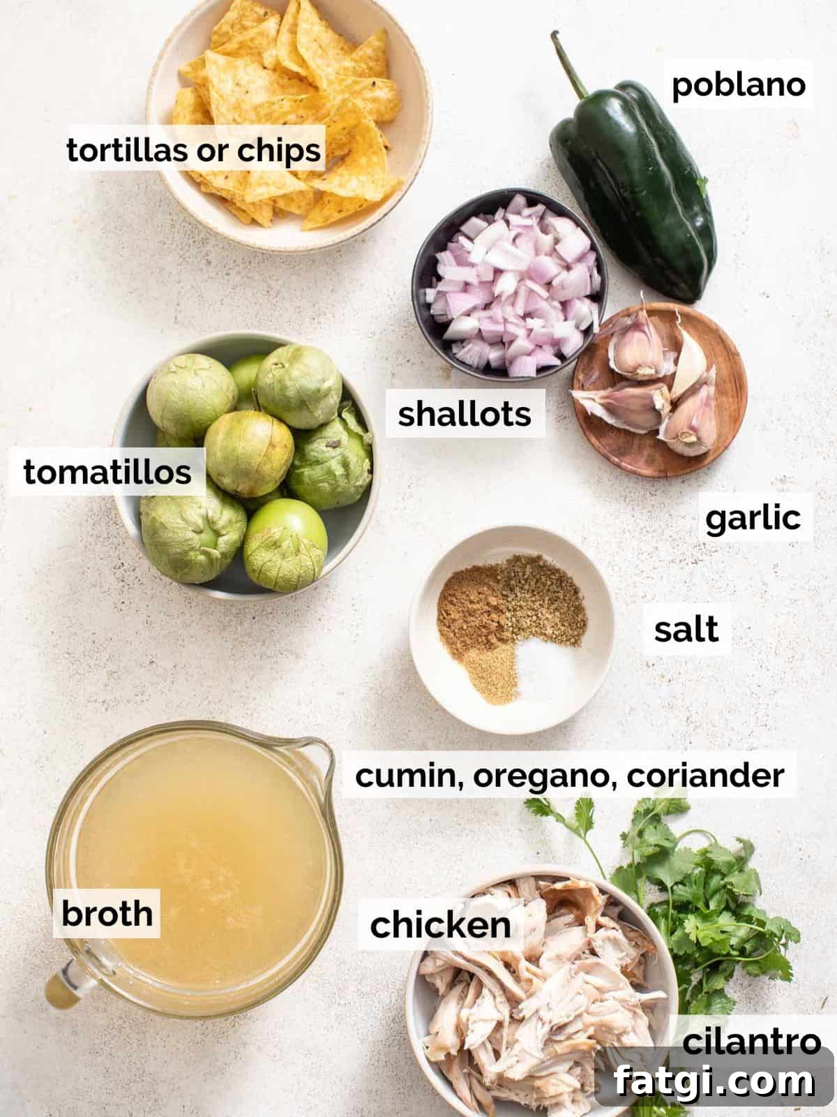 Ingredients for a green chicken enchilada soup on a white background.