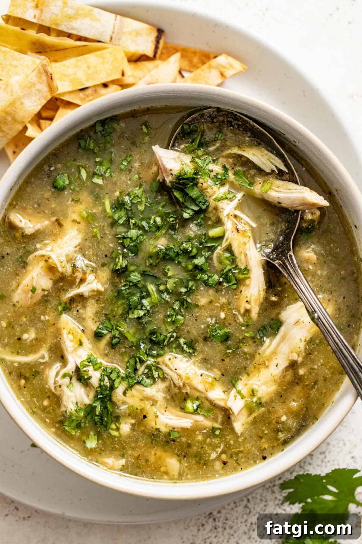 A spoon dipping into a chicken enchilada soup with tomatillos.