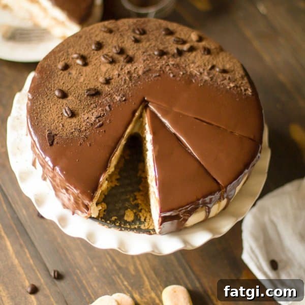 An overhead photo of a tiramisu cheesecake on a stand with ladyfinger cookies