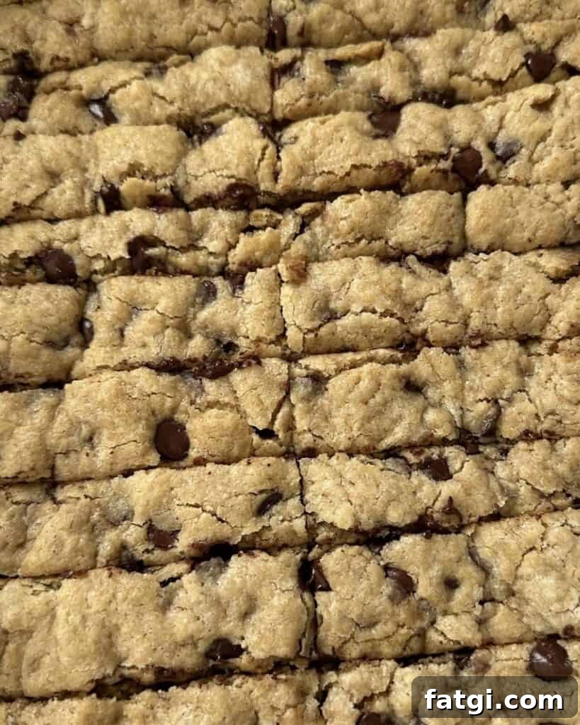 Lazy Chocolate Chip Cookie Sticks 2 Chocolate chip cookie sticks