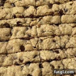 Lazy Chocolate Chip Cookie Sticks 3 Chocolate chip cookie sticks
