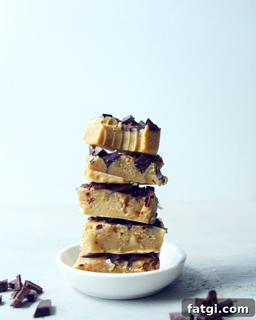 Healthy Paleo Vegan Fudge