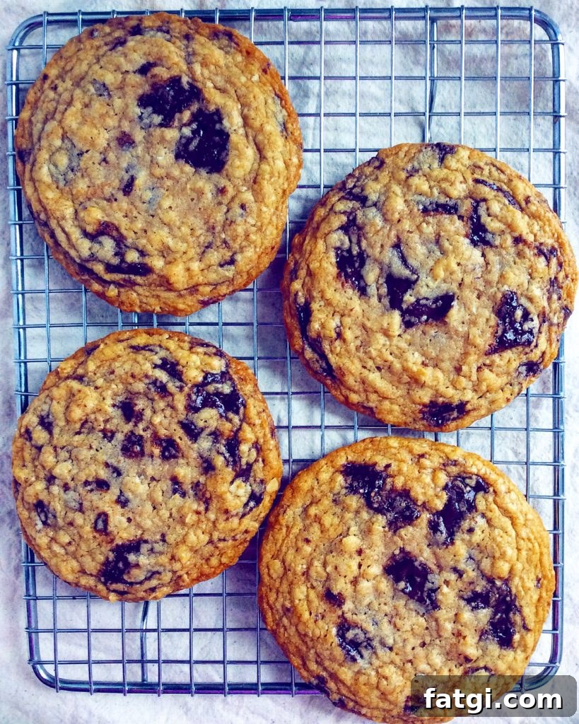 Small Batch Oatmeal Chocolate Chip Cookies