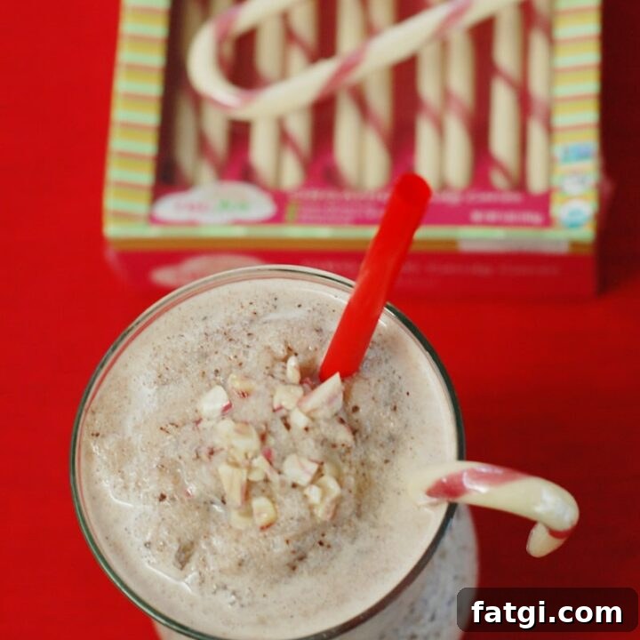 Vegan Peppermint Chocolate Chip Holiday Shake