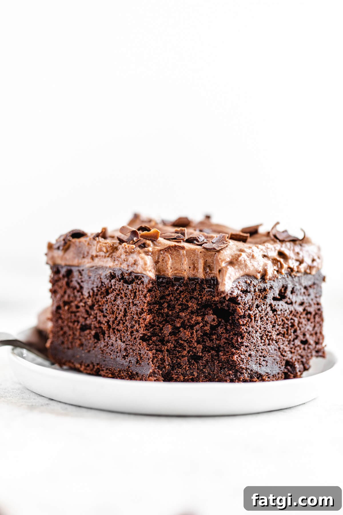 slice of chocolate cake in a small appetizer plate