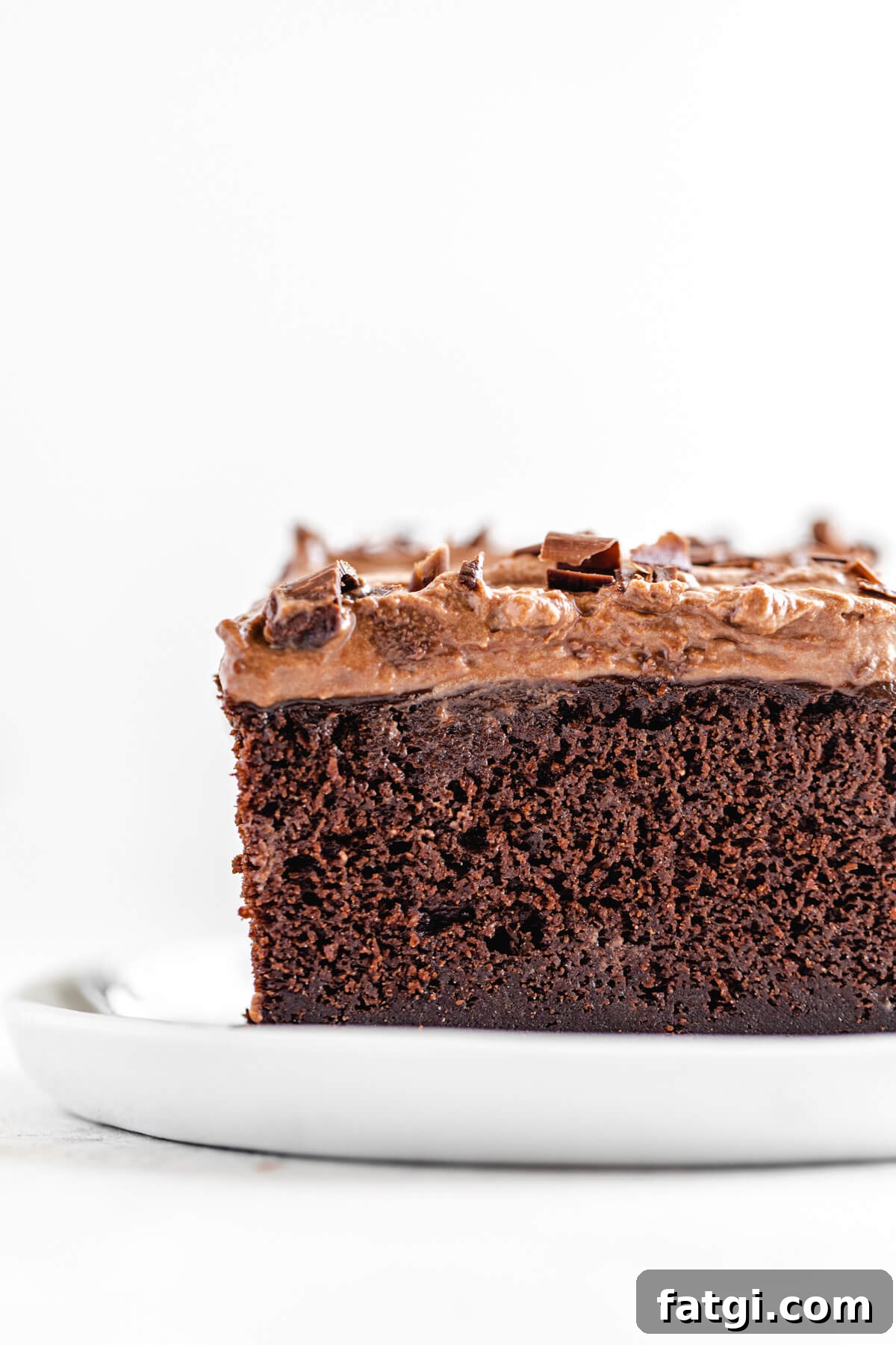 close up of a slice of cake on a white plate