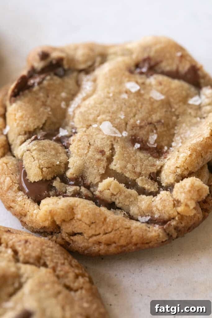 Brown butter chocolate chip cookie.