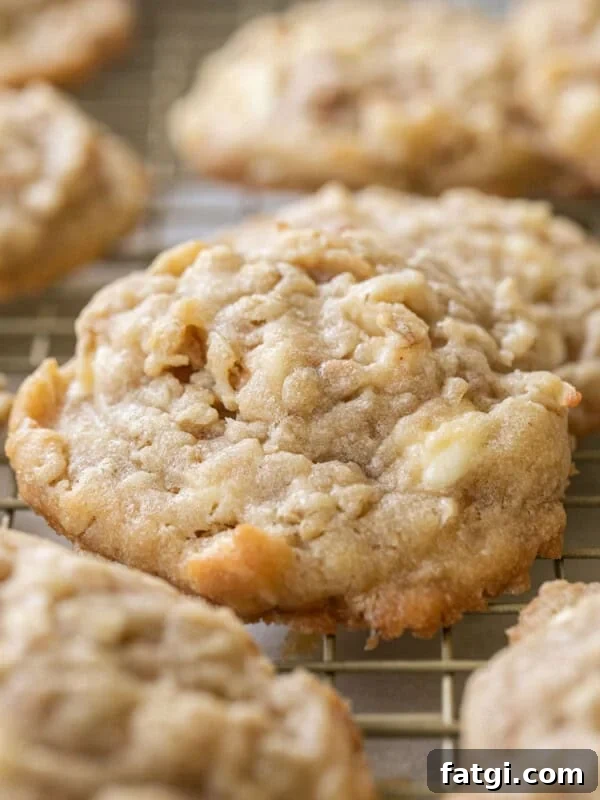 kitchen sink cookies