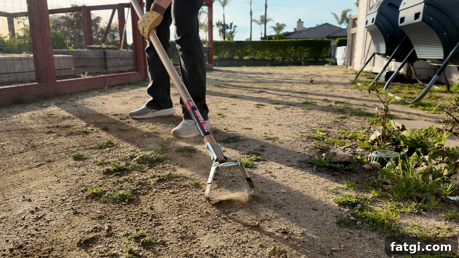 Natural Weed Control Guide for Gardens and Lawns 6 Hula hoe used for faster natural weed removal