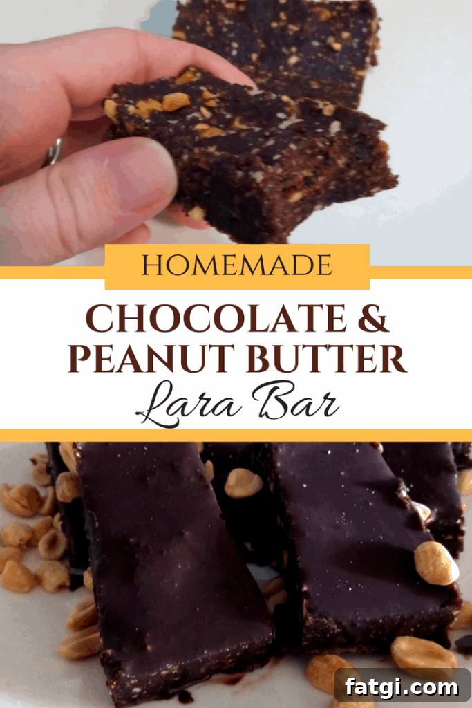 the easiest chocolate peanut butter lara bar! Homemade lara bar. Delicious, healthy, easy snack