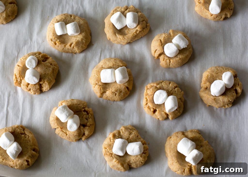 S'mores Thumbprints - a small graham cracker cookie topped with marshmallows and chocolate.