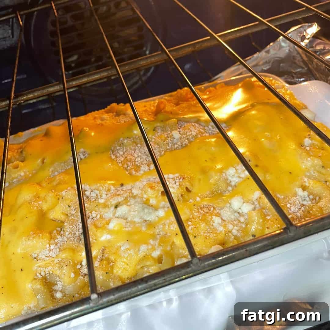 mac and cheese close up